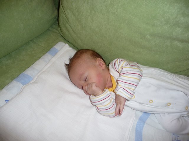 P1010190.JPG